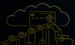 Embedded Payment Fraud Detection System