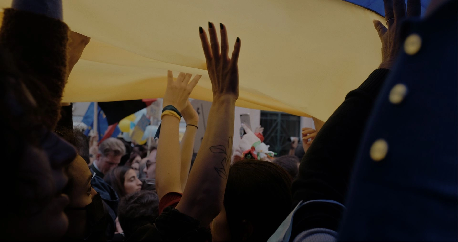 Stand with Ukraine - Jappware